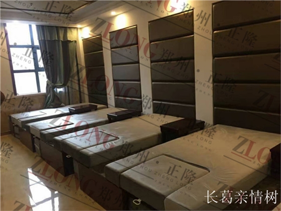 長葛親情樹實景.jpg
