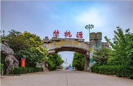夢桃源度假村與你相伴