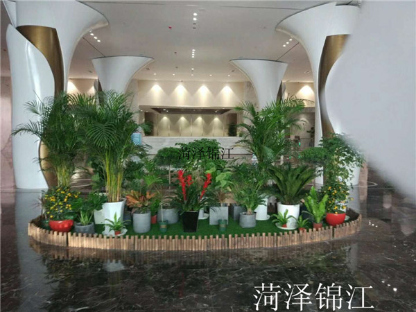 菏澤錦江溫泉度假酒店景圖.jpg