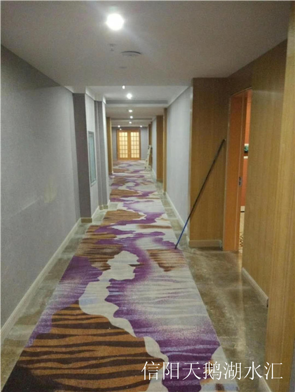信陽天鵝湖水匯走廊.jpg