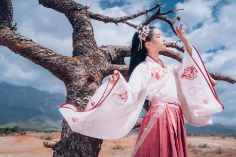 網(wǎng)紅打卡