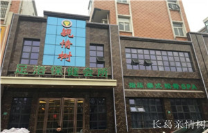 長葛親情樹