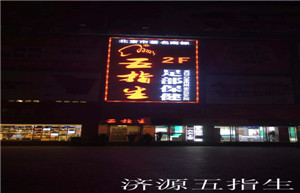 濟源五指生
